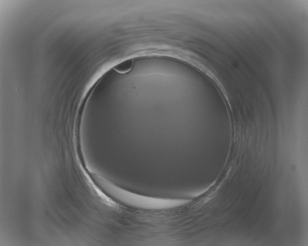 X0000079321533200612011829