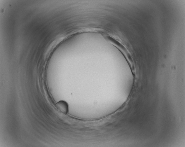 X0000079320001200612081946