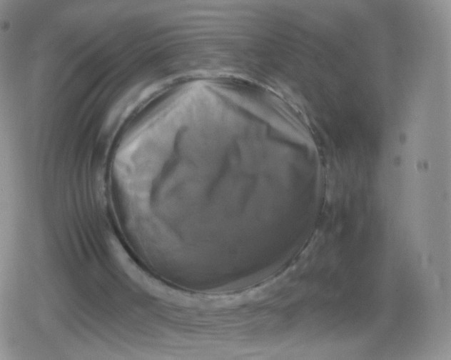 X0000079320002200612081946