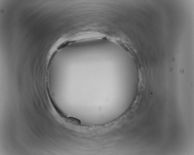 X0000079320003200612081946