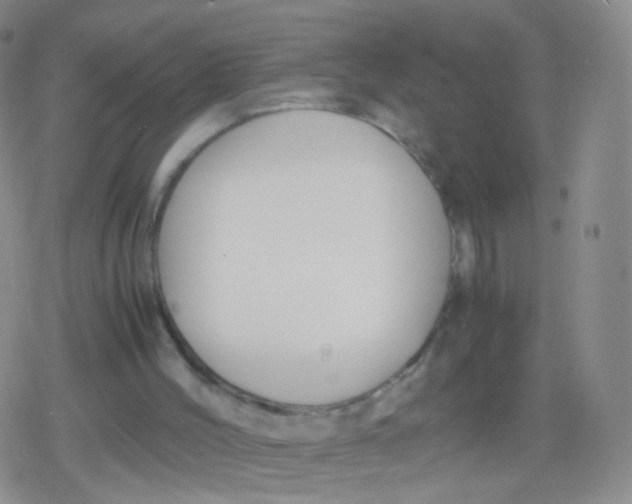 X0000079320004200612081946