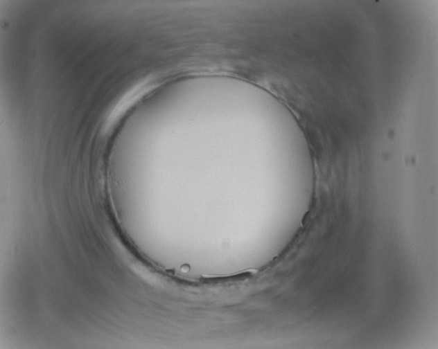 X0000079320005200612081946