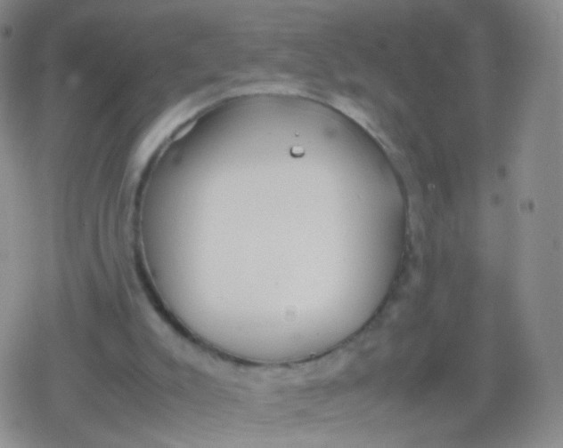 X0000079320007200612081946