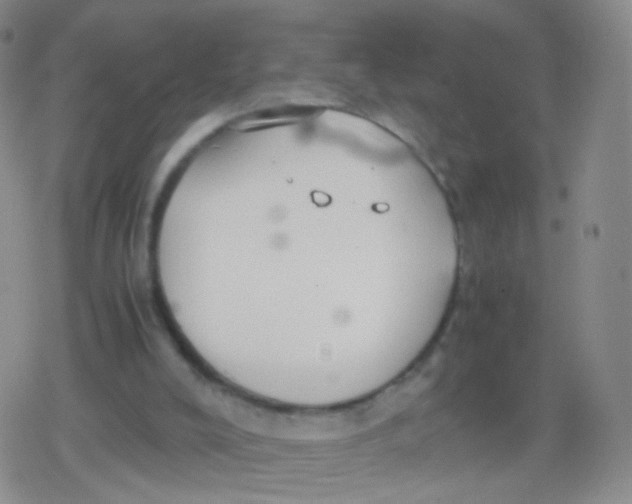 X0000079320008200612081946