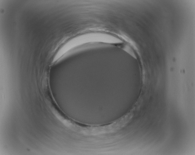 X0000079320009200612081946