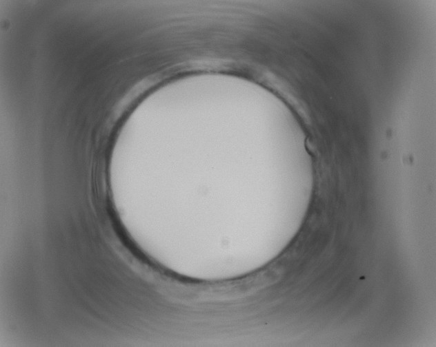 X0000079320011200612081945