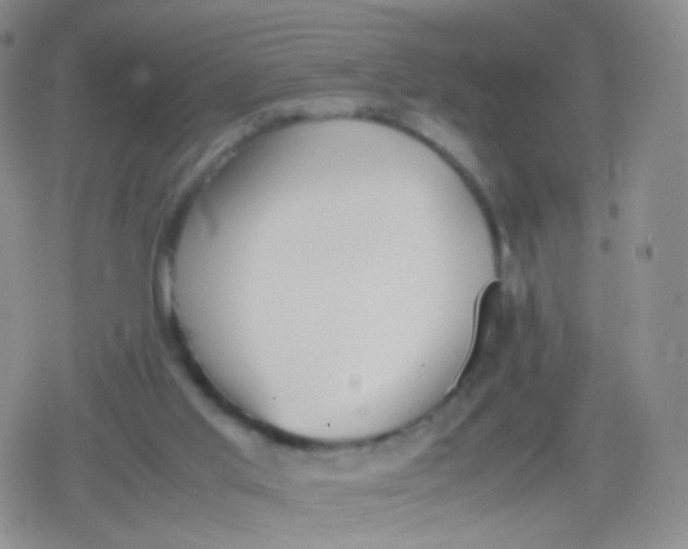 X0000079320013200612081945