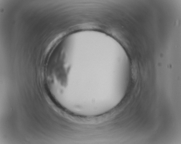 X0000079320015200612081945