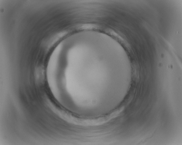 X0000079320016200612081945