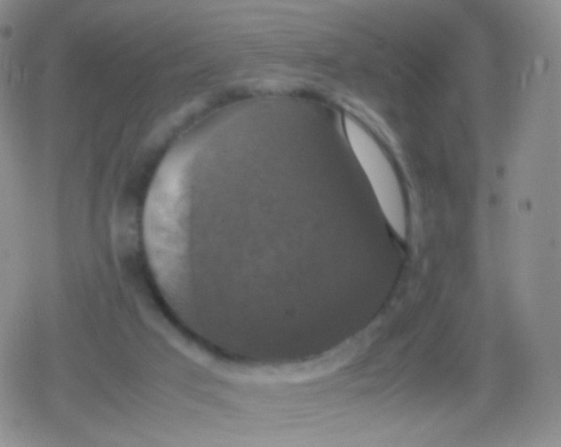 X0000079320017200612081945