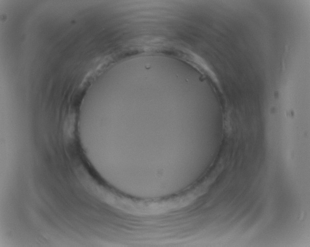 X0000079320018200612081945