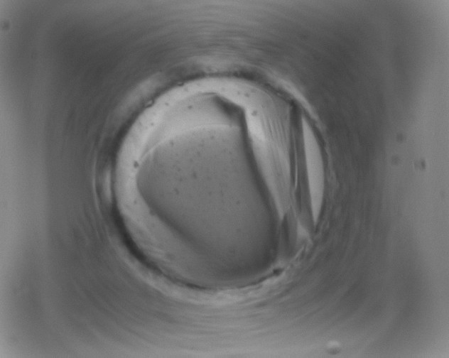 X0000079320019200612081945