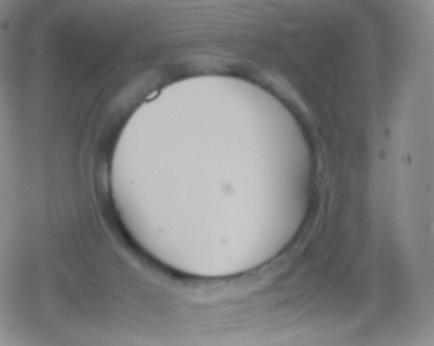 X0000079320021200612081945