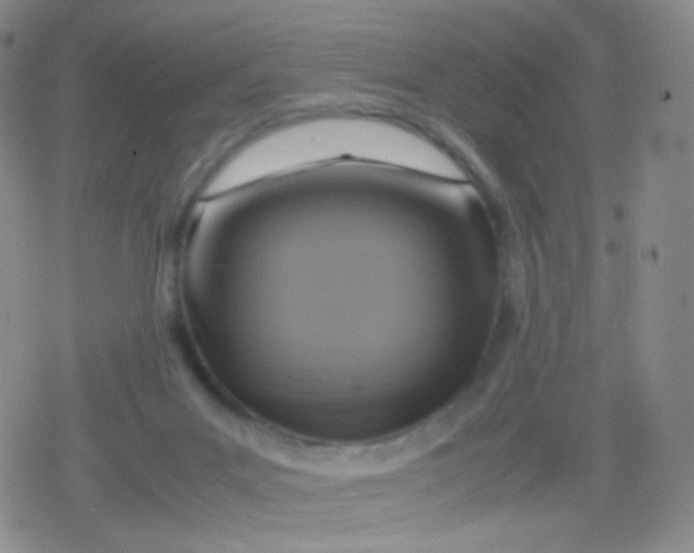 X0000079320023200612081945