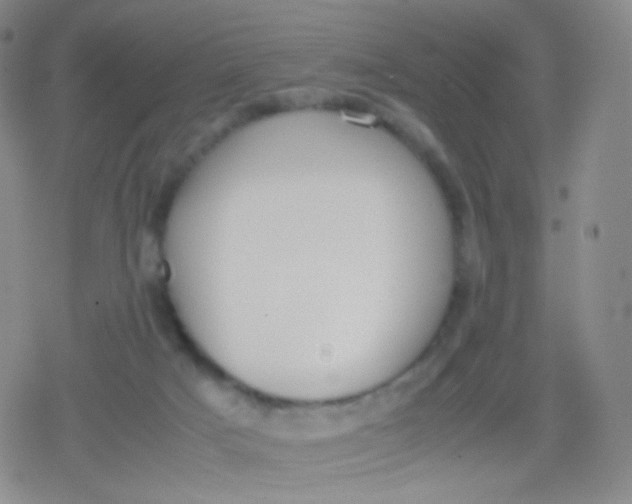 X0000079320025200612081945