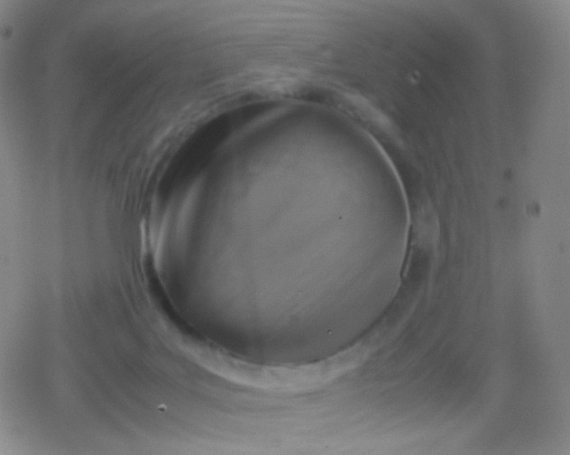 X0000079320027200612081945