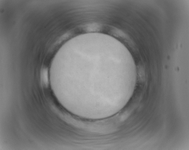 X0000079320028200612081945