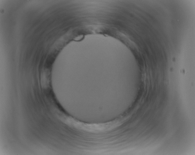 X0000079320030200612081945