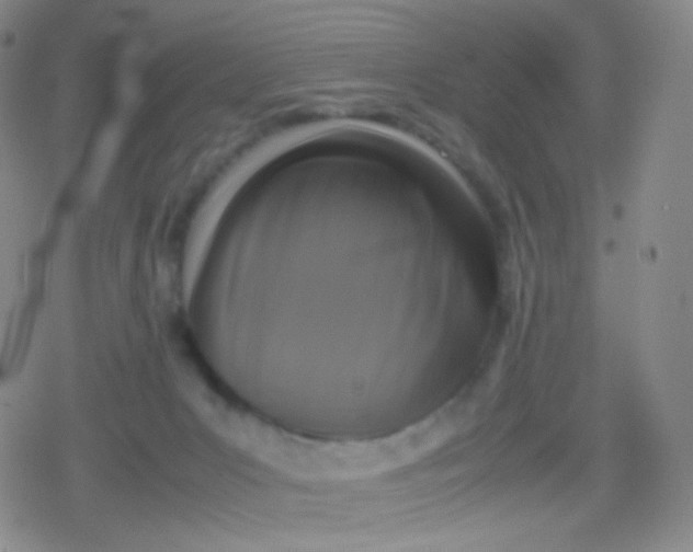 X0000079320031200612081945