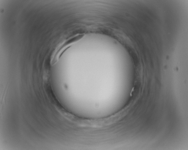 X0000079320033200612081945