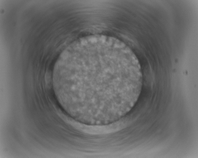 X0000079320034200612081945