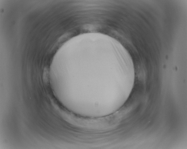 X0000079320036200612081945