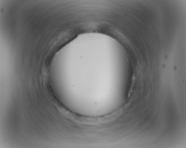 X0000079320037200612081945