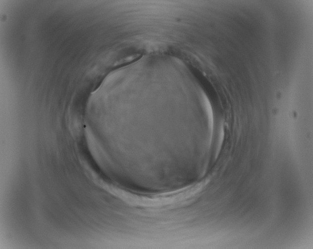 X0000079320039200612081945