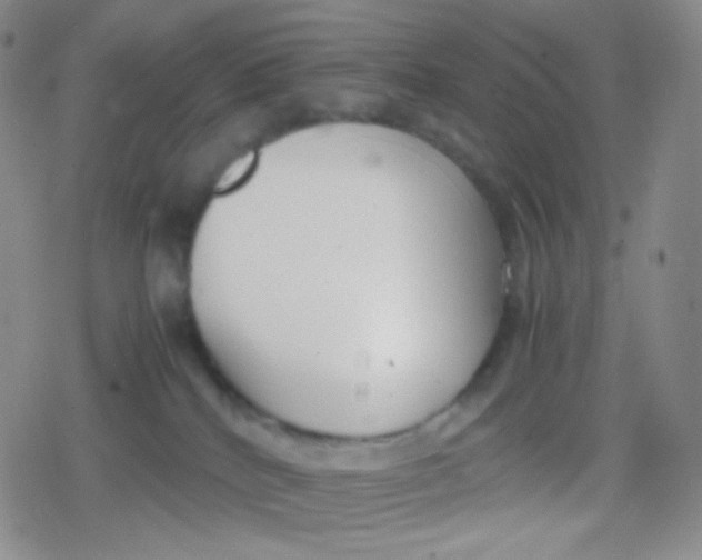 X0000079320040200612081945