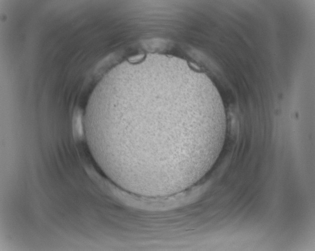 X0000079320042200612081945