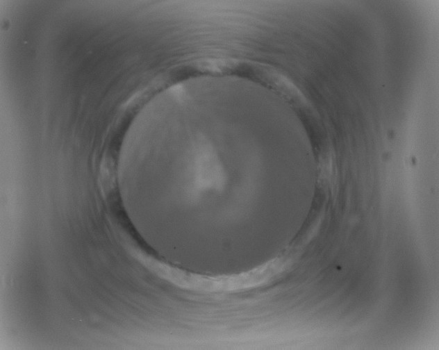 X0000079320043200612081945