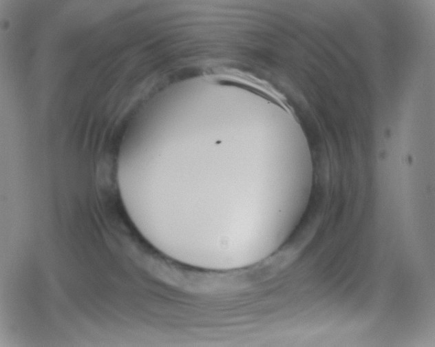 X0000079320044200612081945