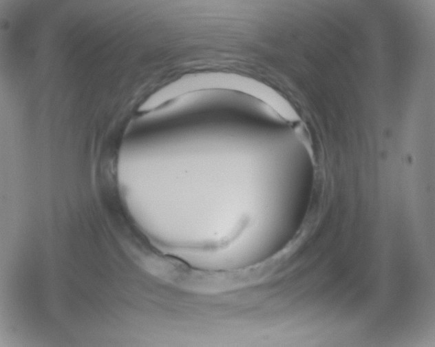 X0000079320045200612081945