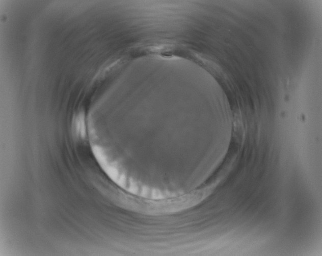 X0000079320046200612081945