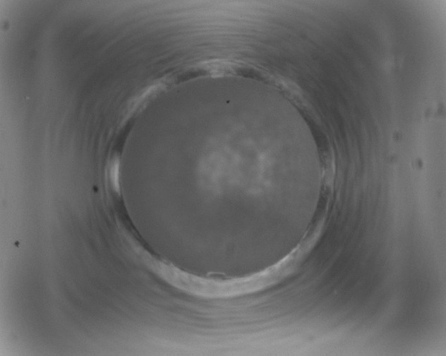 X0000079320047200612081945