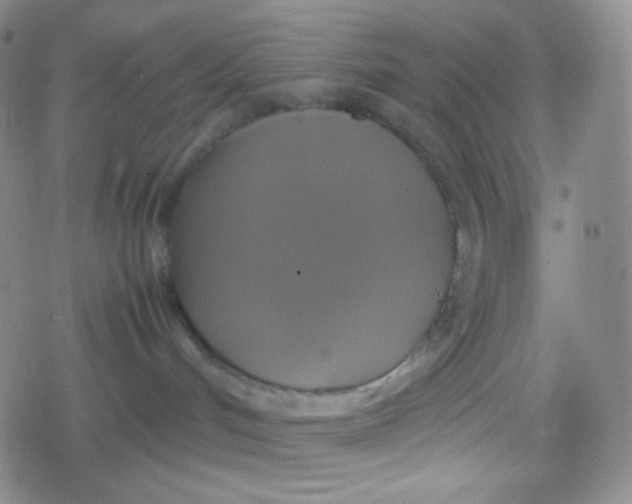 X0000079320048200612081945