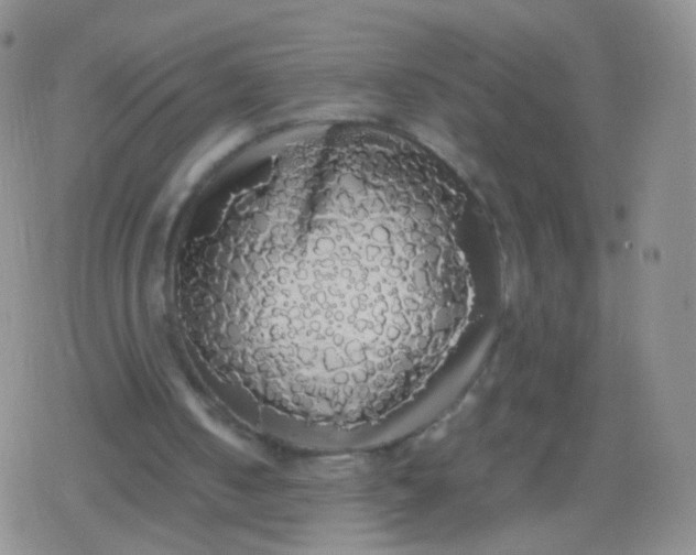 X0000079320050200612081944