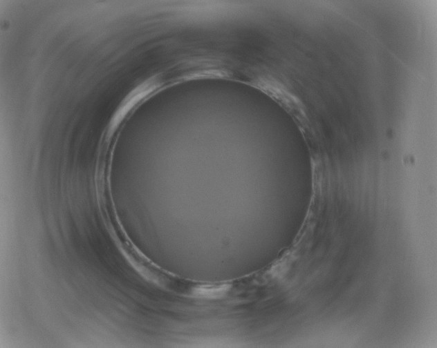 X0000079320051200612081944