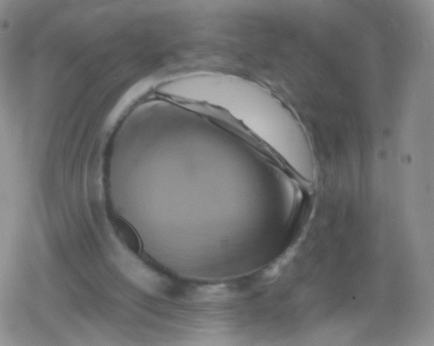 X0000079320054200612081944