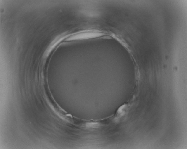 X0000079320055200612081944