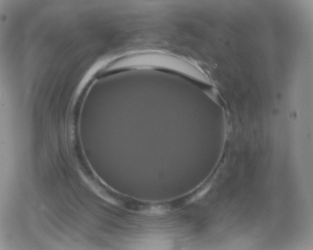 X0000079320056200612081944