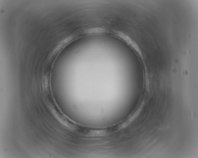 X0000079320057200612081944