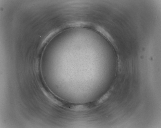 X0000079320058200612081944