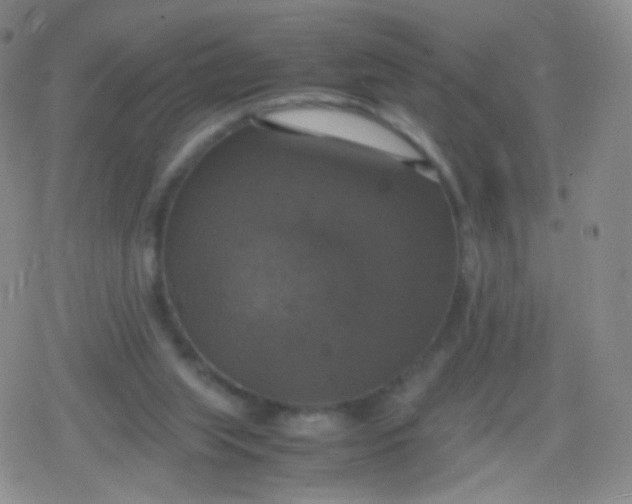 X0000079320063200612081944