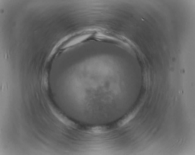 X0000079320064200612081944