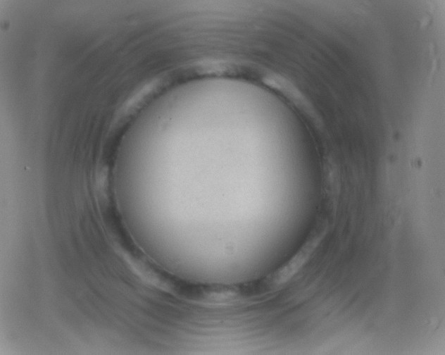 X0000079320066200612081944