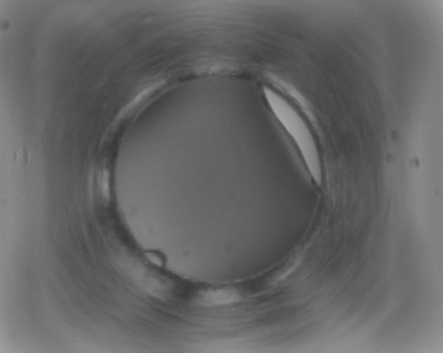 X0000079320067200612081944