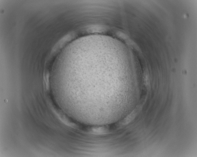 X0000079320070200612081944