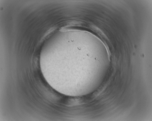 X0000079320071200612081944