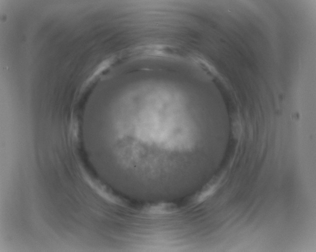 X0000079320072200612081944